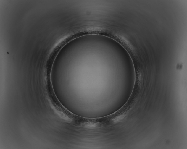 X0000090630684200707171448