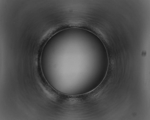 X0000090630686200707171448