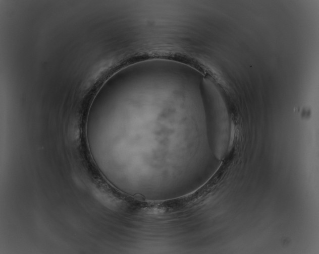 X0000090630687200707171448