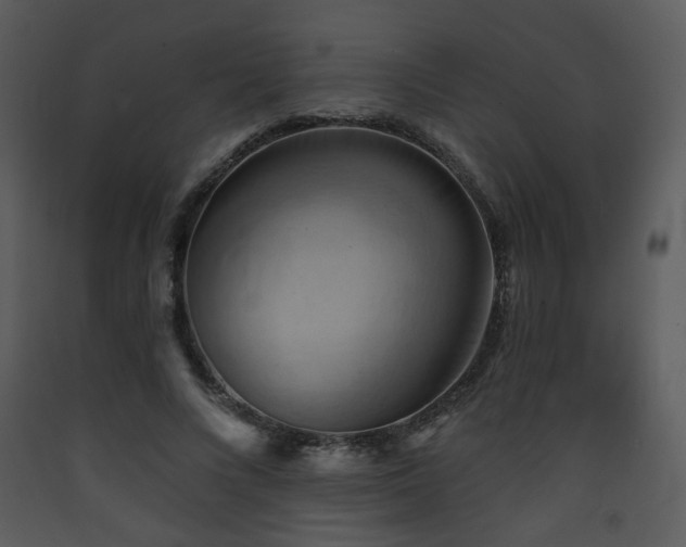 X0000090630688200707171448