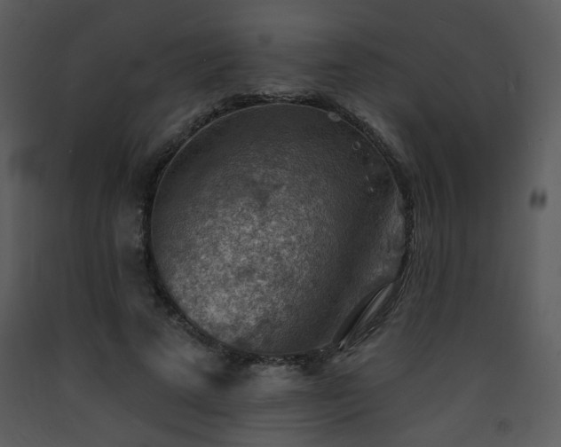 X0000090630689200707171448
