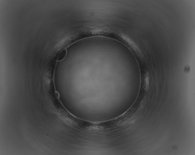 X0000090630691200707171448