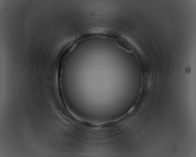 X0000090630692200707171448
