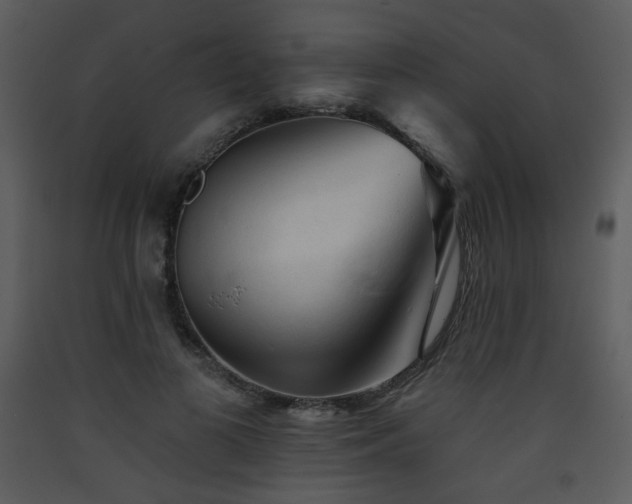 X0000090630693200707171448