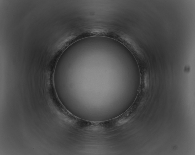 X0000090630696200707171448