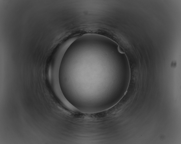 X0000090630697200707171448
