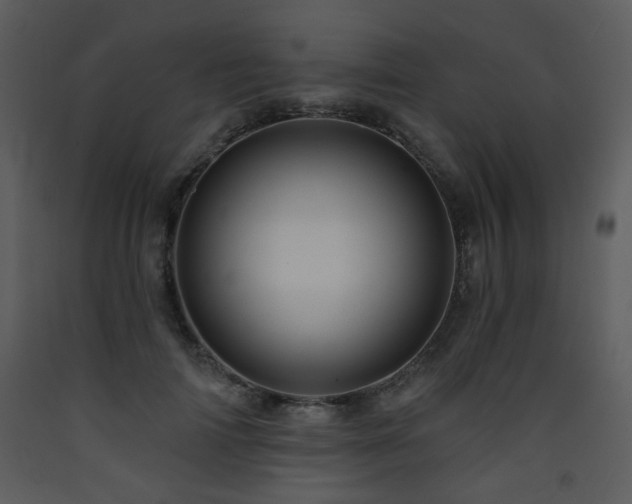 X0000090630698200707171448
