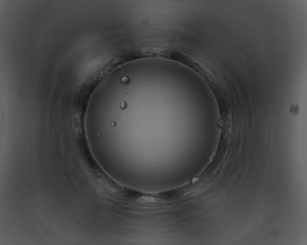 X0000090630699200707171448