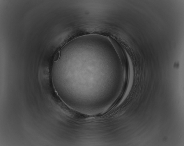 X0000090630700200707171448