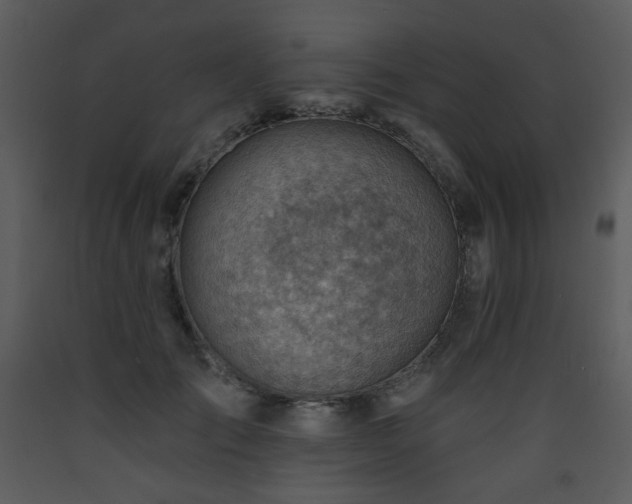 X0000090630701200707171448
