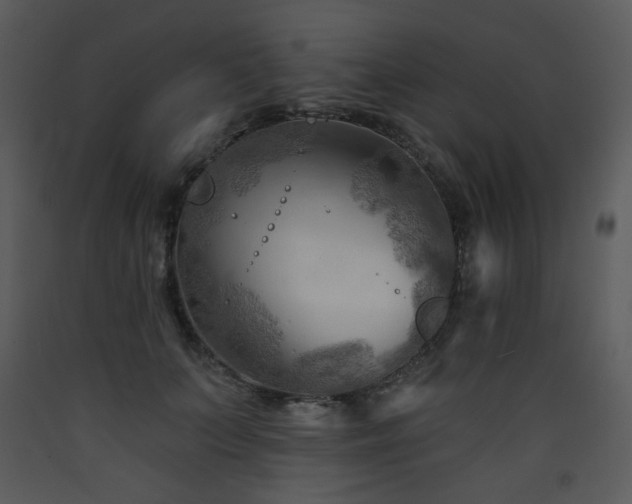 X0000090630703200707171448