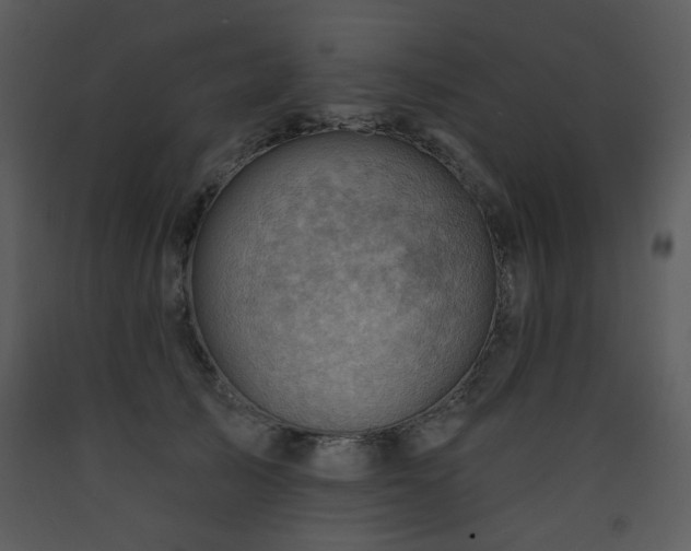 X0000090630705200707171448
