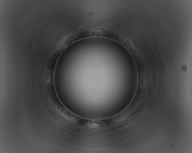 X0000090630706200707171448