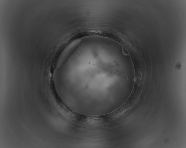 X0000090630707200707171448