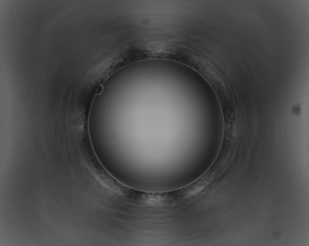 X0000090630710200707171448