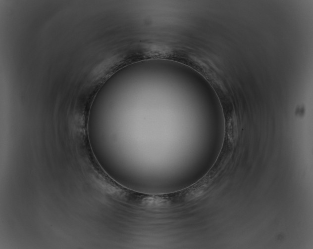 X0000090630714200707171448