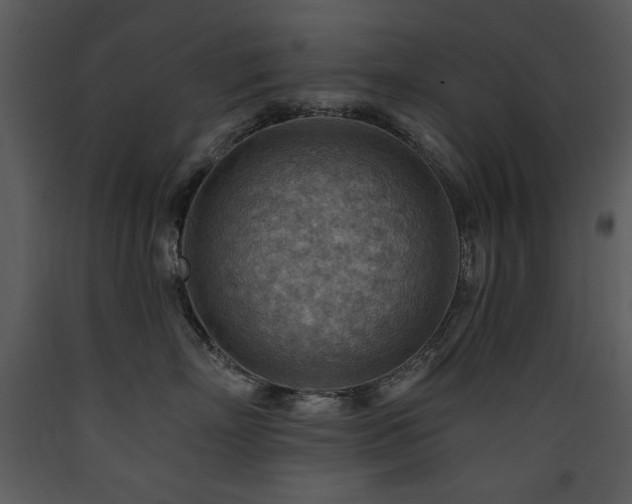X0000090630718200707171447