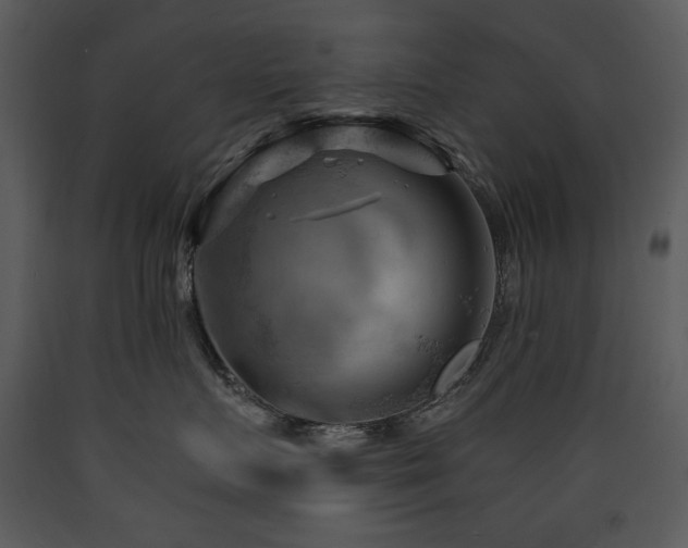 X0000090630719200707171447