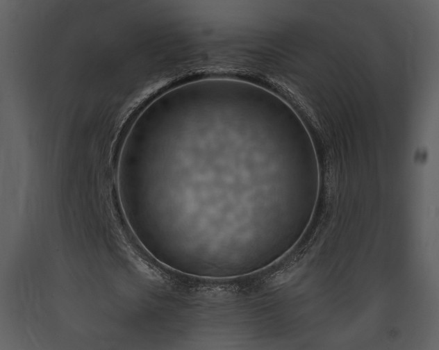 X0000090630721200707171447