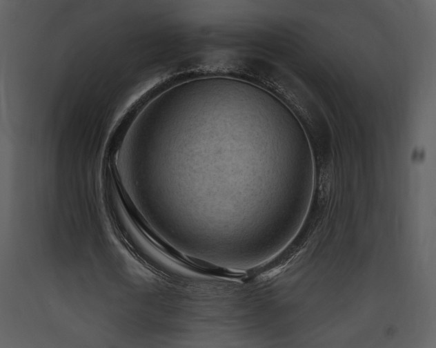 X0000090630722200707171447