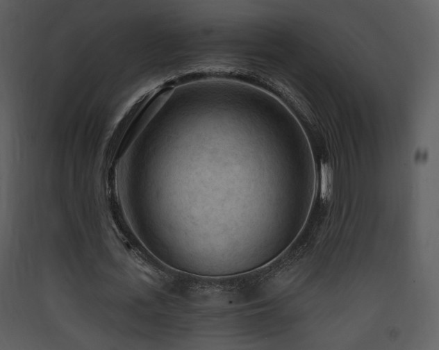 X0000090630723200707171447