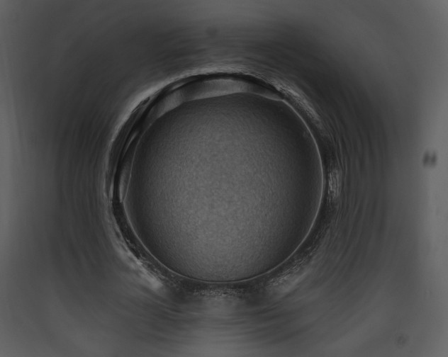 X0000090630724200707171447