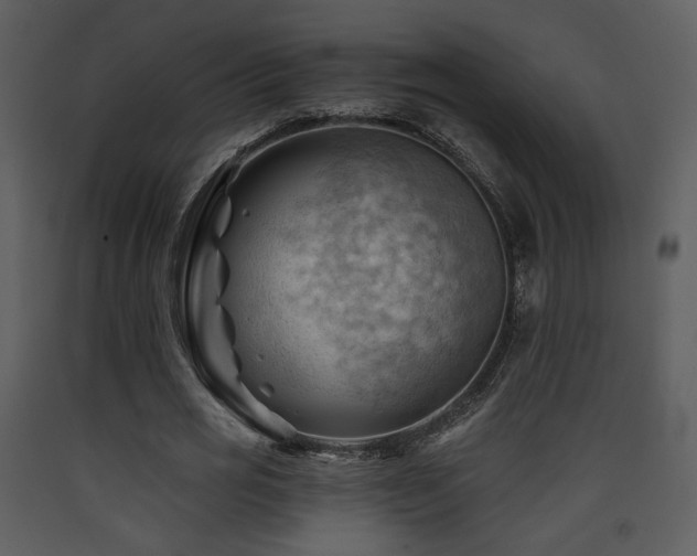 X0000090630725200707171447