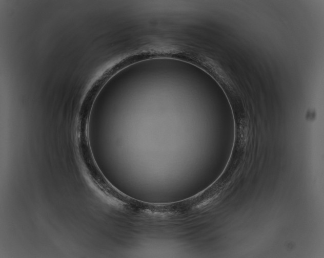 X0000090630726200707171447