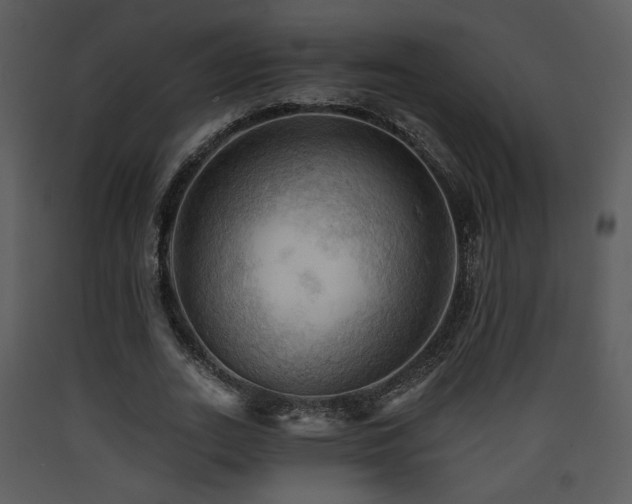 X0000090630727200707171447
