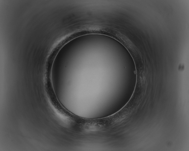 X0000090630728200707171447