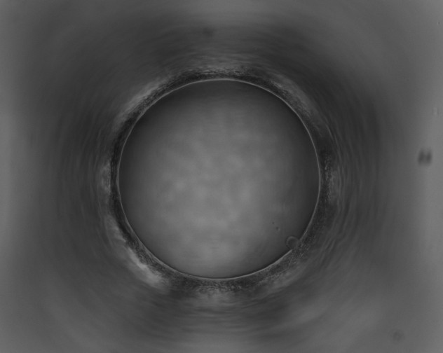X0000090630729200707171447