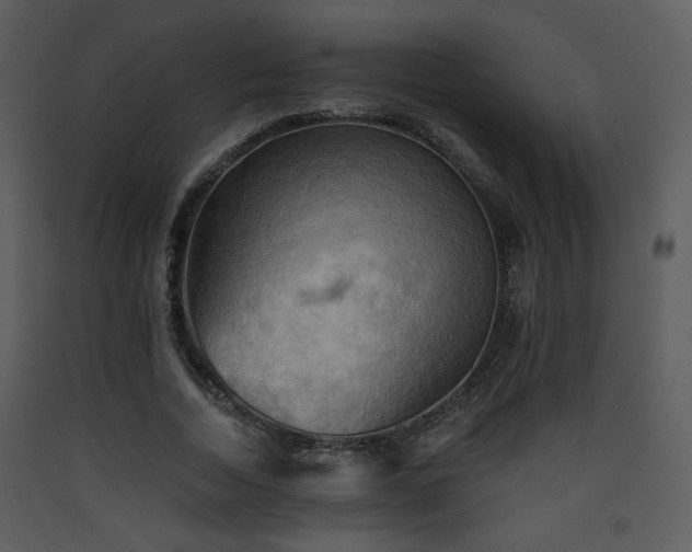 X0000090630730200707171447