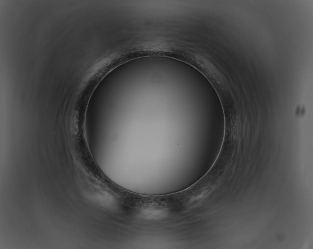 X0000090630731200707171447