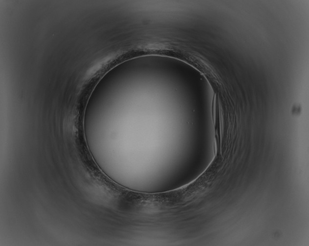X0000090630732200707171447