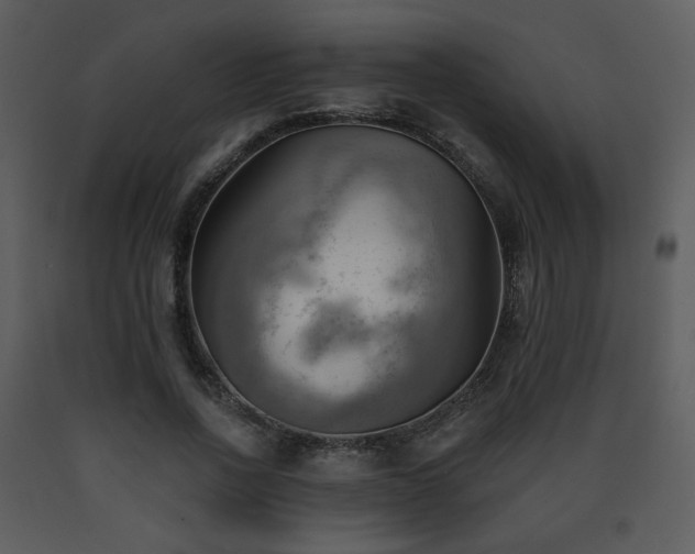 X0000090630734200707171447