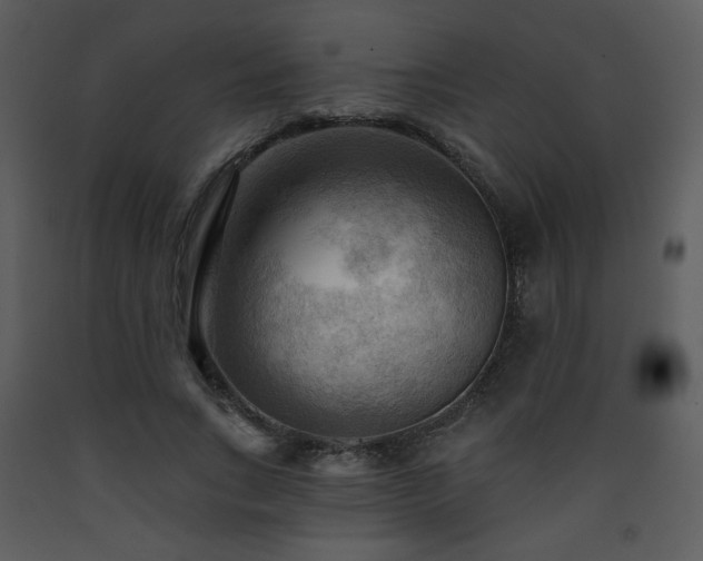 X0000090630735200707171447