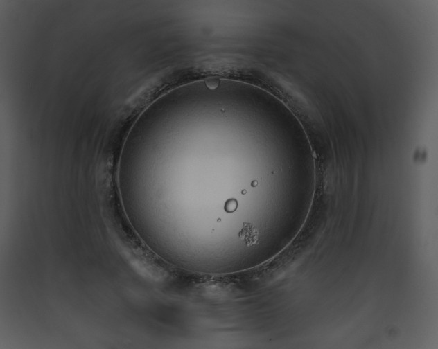 X0000090630737200707171447