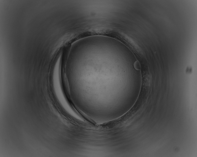 X0000090630738200707171447