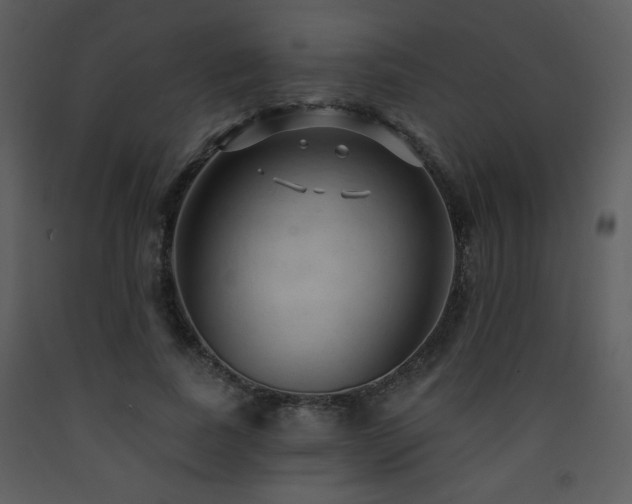 X0000090630739200707171447
