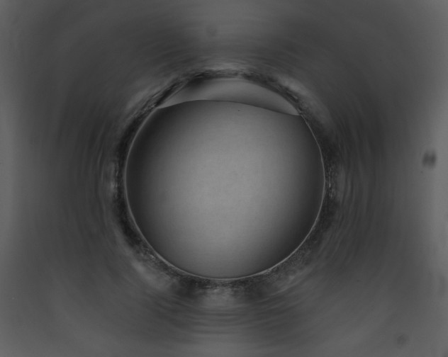X0000090630740200707171447