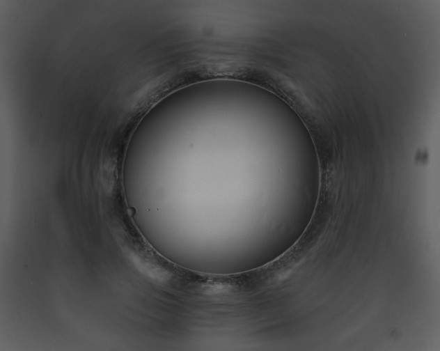 X0000090630741200707171447