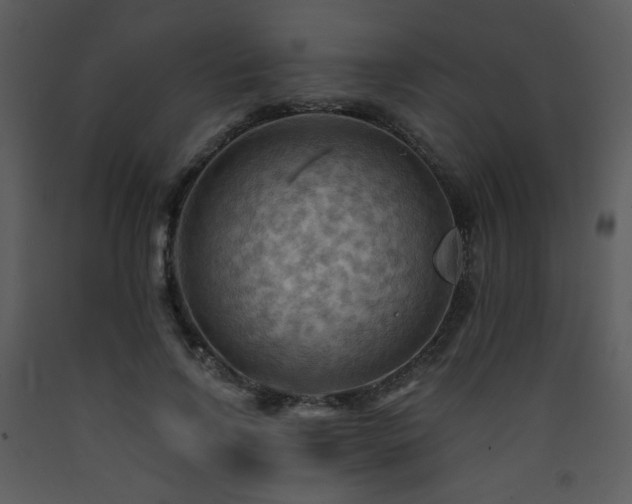 X0000090630742200707171447