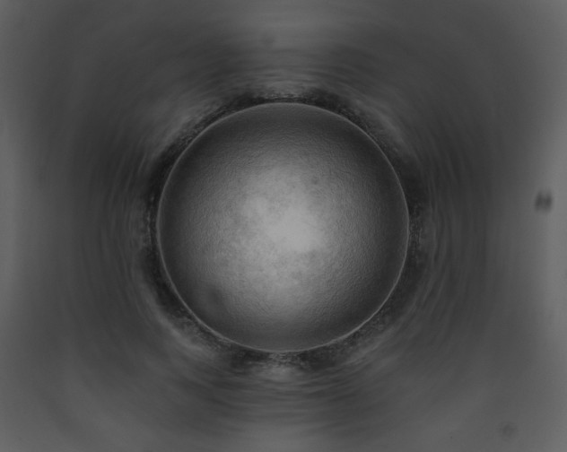 X0000090630743200707171447