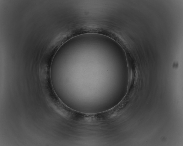X0000090630744200707171447