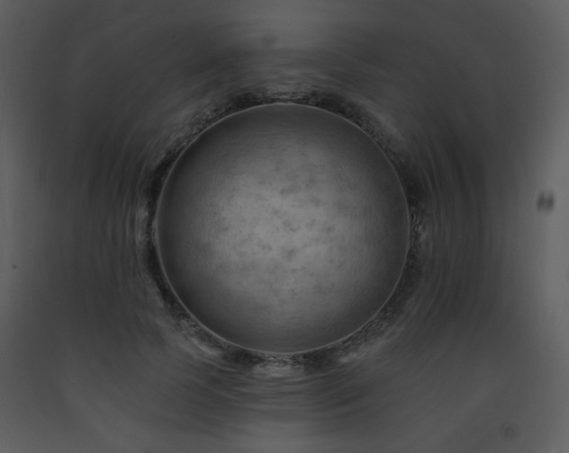 X0000090630745200707171447