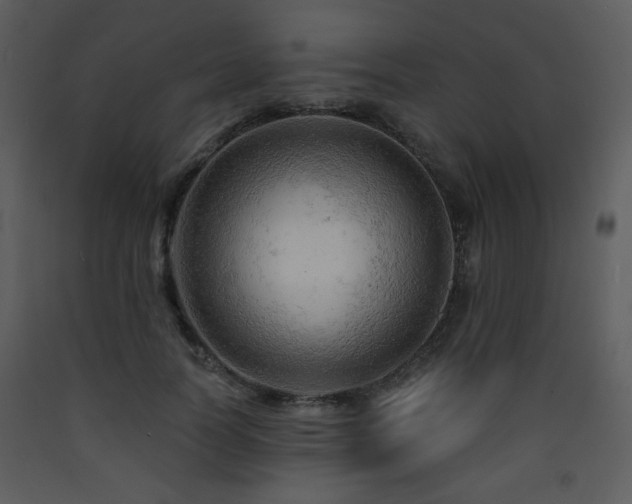 X0000090630746200707171447