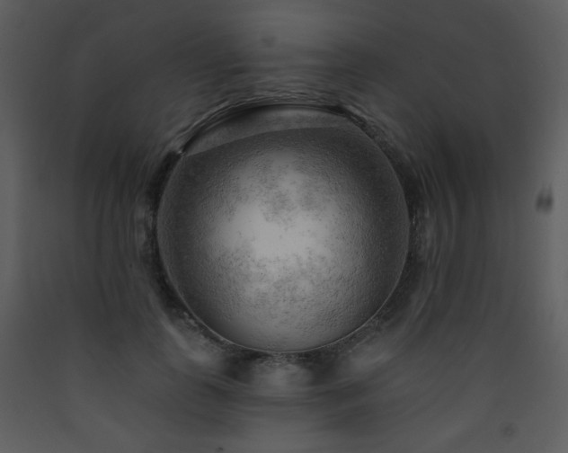 X0000090630747200707171447