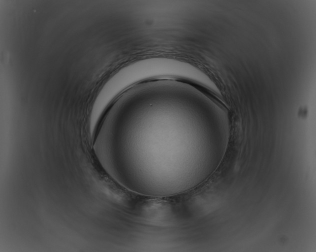 X0000090630750200707171447