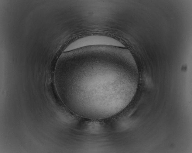 X0000090630751200707171447