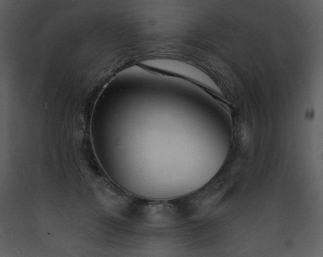 X0000090630752200707171447